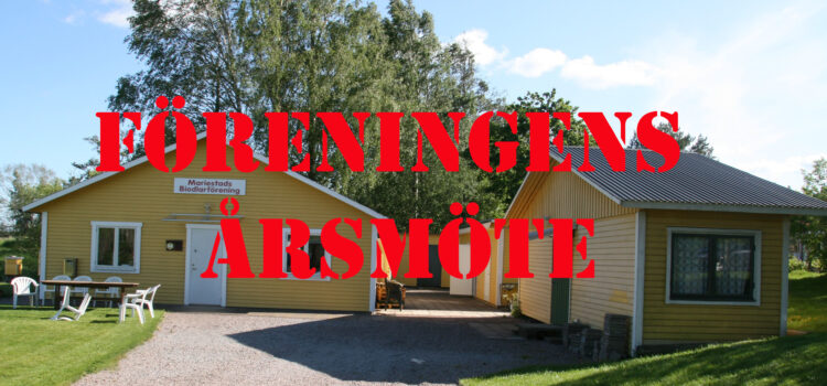 Snart dags för föreningens årsmöte, 3 November, 19:00