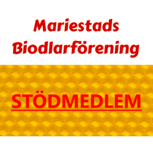 Stödmedlem